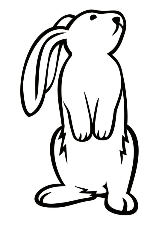 Coloring page rabbit