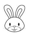 Coloring page Rabbit Head