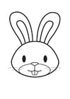 Coloring pages Rabbit Head