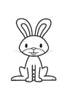 Coloring pages Rabbit