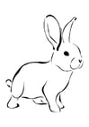 Coloring page rabbit