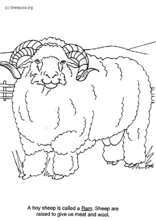 Coloring page ram