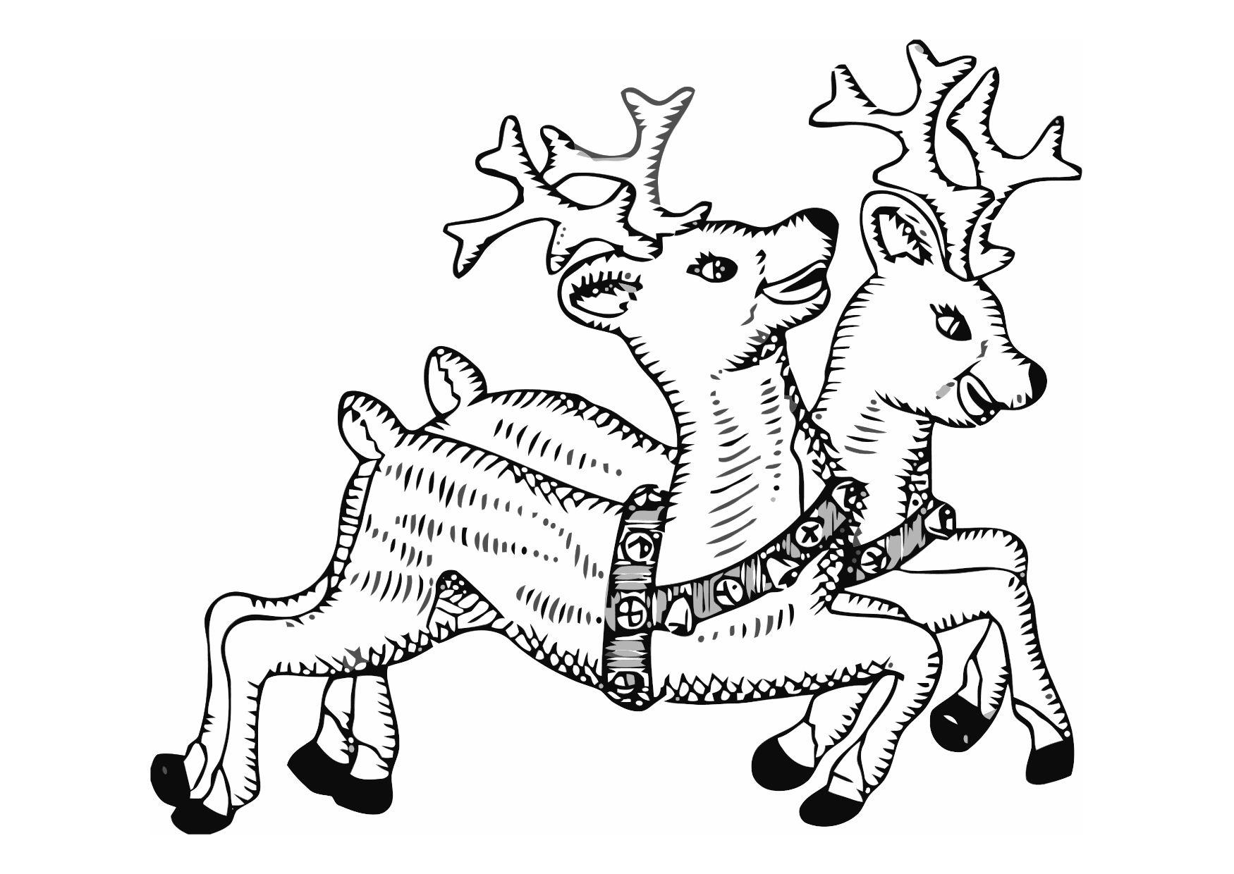 Coloring page reindeer