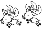 Coloring pages reindeer