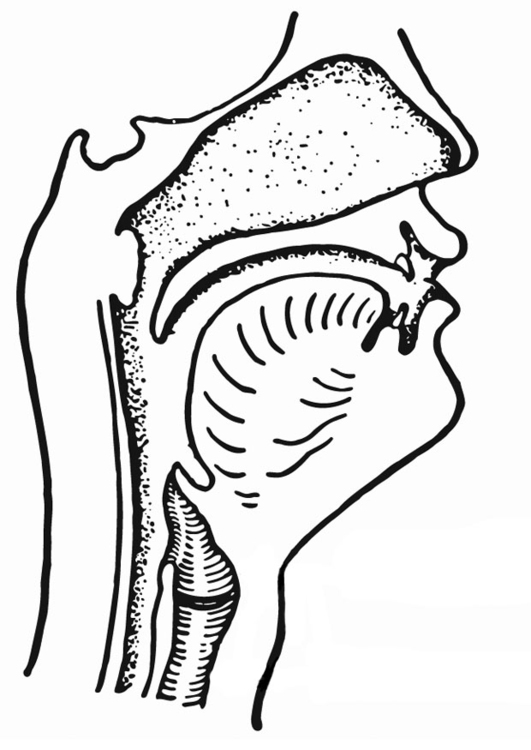 Coloring page respiration