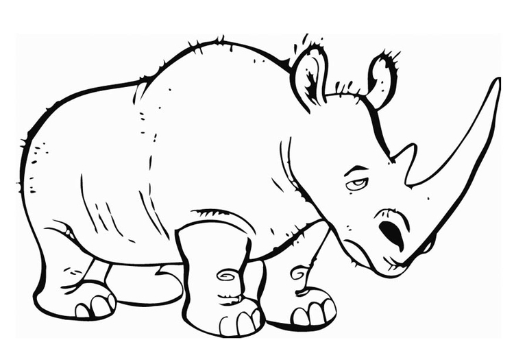 Coloring page rhinoceros