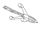 Coloring page rocket