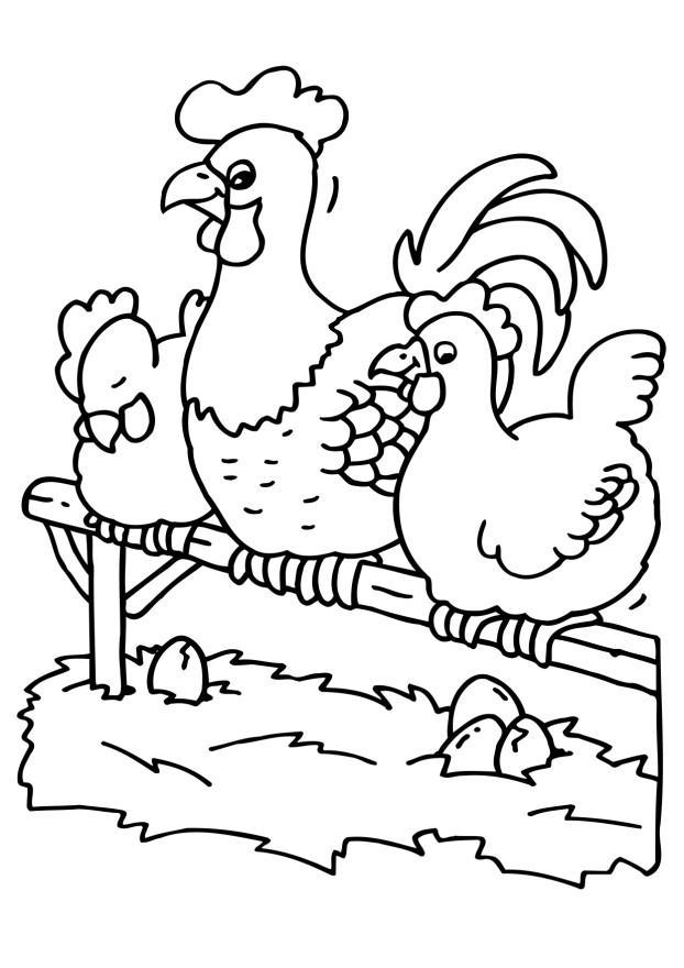 Coloring page rooster and hens