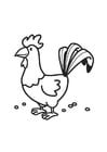 Coloring pages Rooster