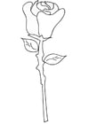Coloring page rose