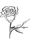 Coloring page rose