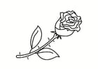 Coloring pages rose