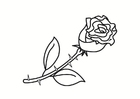 Coloring pages rose