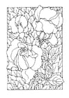 Coloring page roses