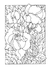 Coloring pages roses
