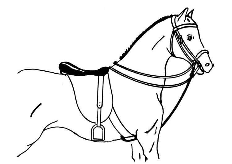 Coloring page saddled horse