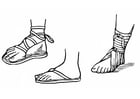 Coloring pages sandals