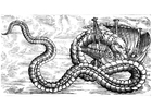 coloring-page sea dragon attacks ship