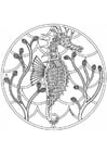 Coloring pages sea horse mandala