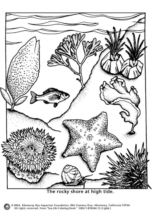 Coloring page sea shore high tide