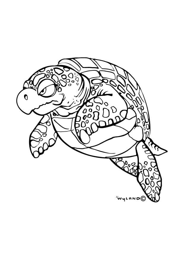 Coloring page sea turtle