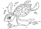 Coloring page sea turtle