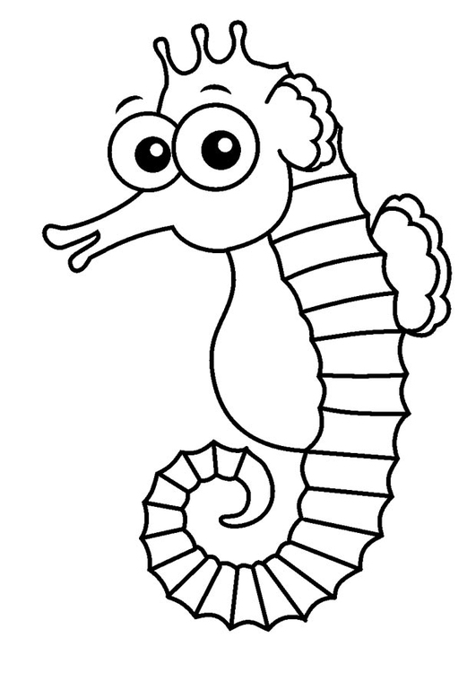 Coloring page seahorse