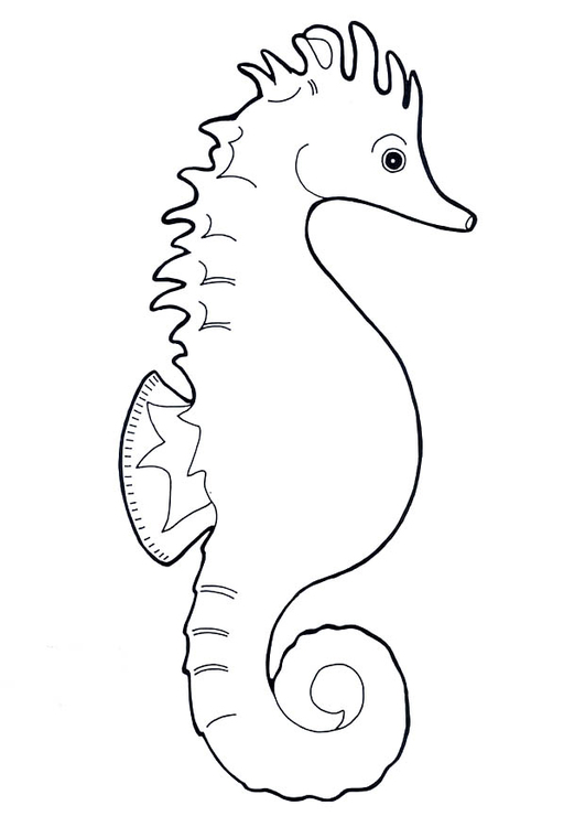 Coloring page seahorse