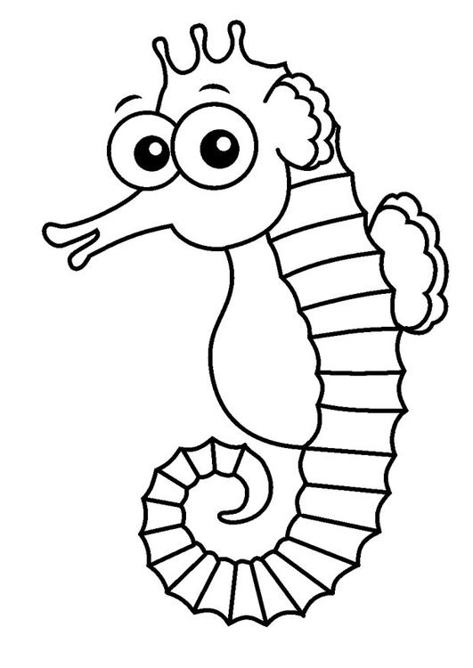 seahorse