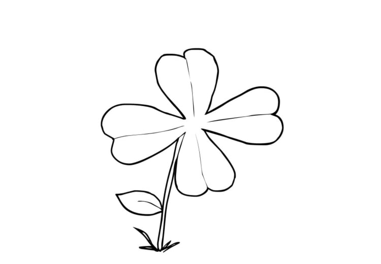 Coloring page shamrock