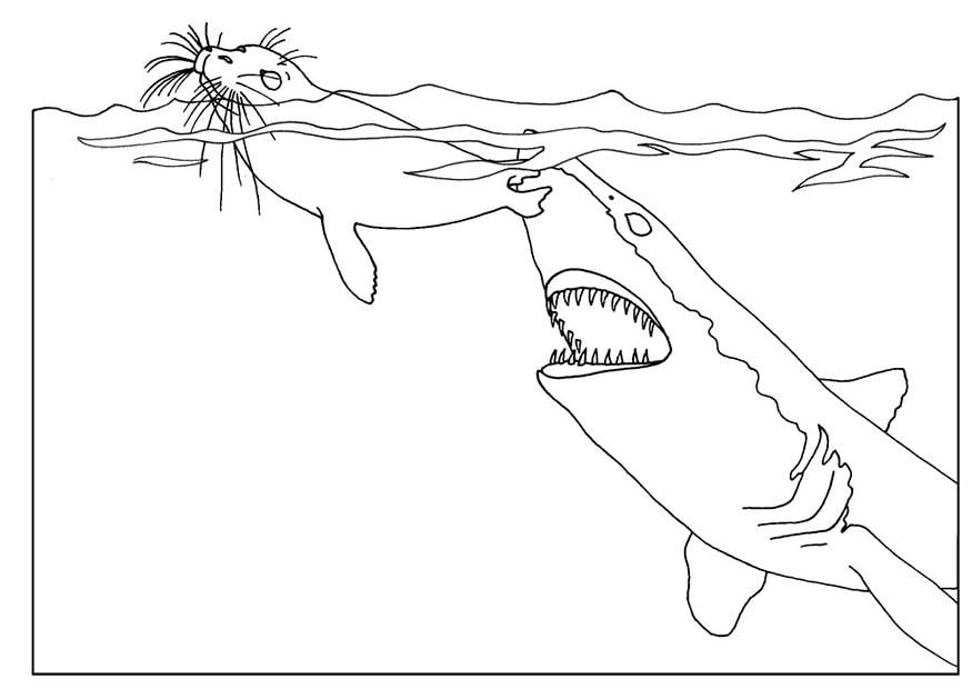 Coloring page shark attacks seal