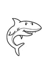 Coloring pages Shark