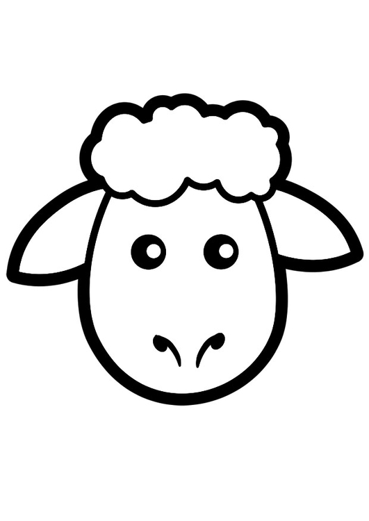 Coloring page sheep