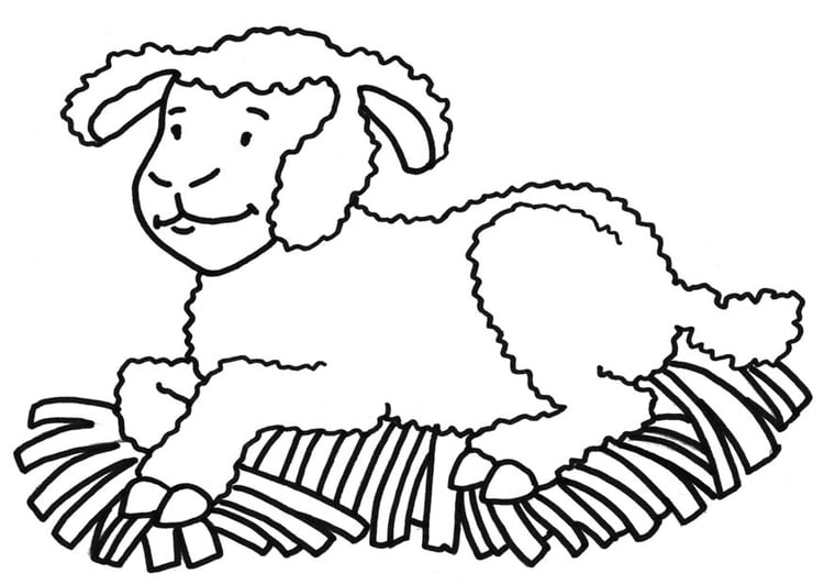 Coloring page Sheep