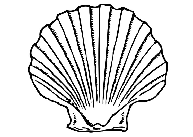 Coloring page shell