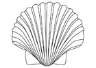 shell of saint James