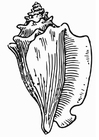 Coloring pages shell