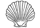 Coloring pages shell