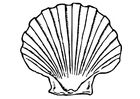 Coloring pages shell