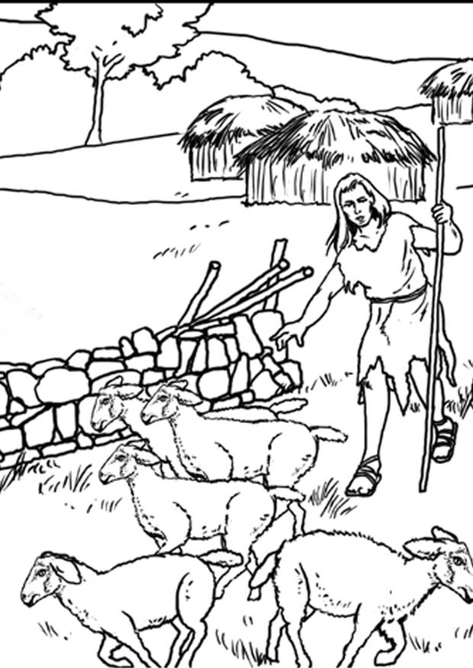Coloring page Shepherd