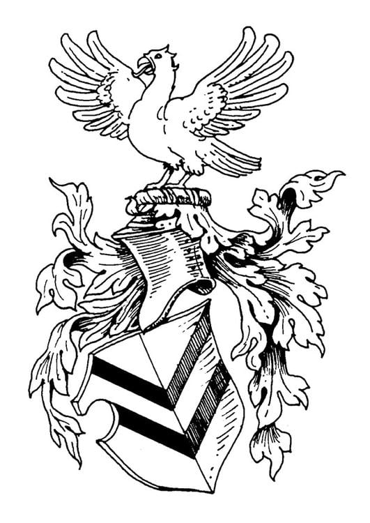 shield of arms