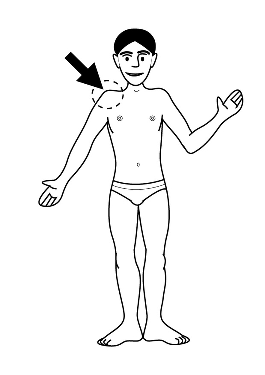 Coloring page shoulder