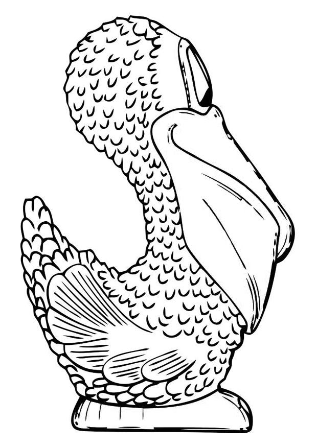Coloring page side pelican