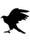 Coloring pages silhouet eagle