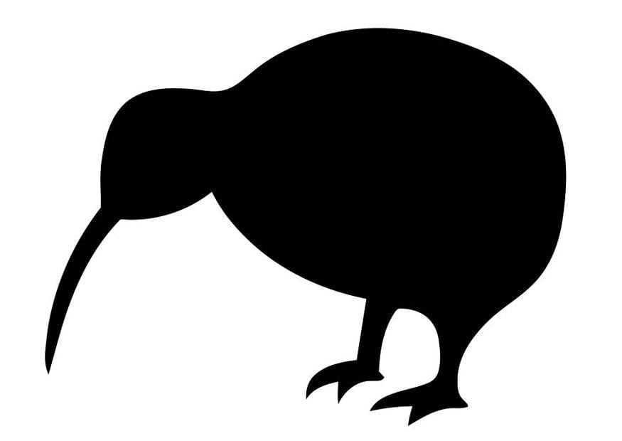 Coloring page silhouette of bird - kiwi
