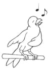 Coloring page singing bird