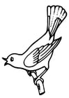 Coloring page singing bird