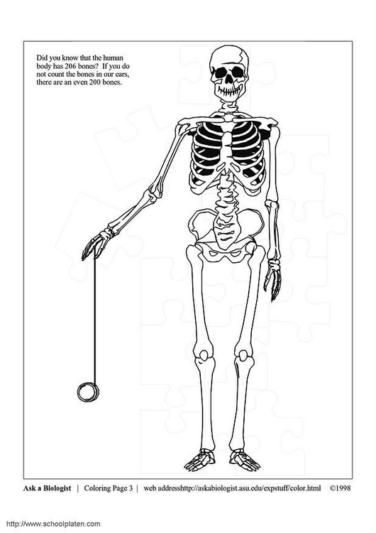 Coloring page skeleton