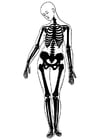 Coloring page Skeleton