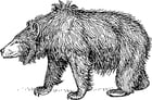 Coloring page sloth bear